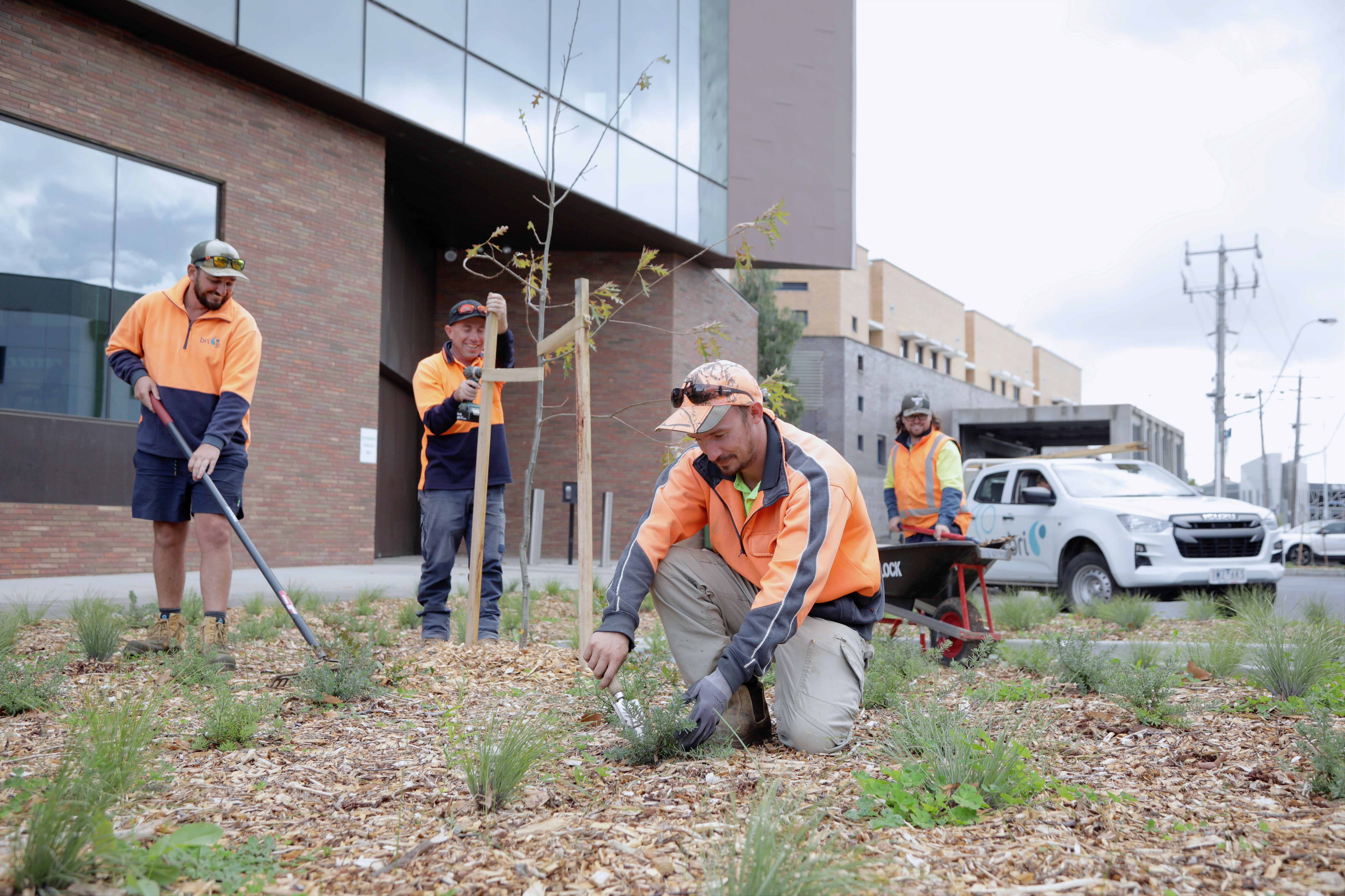 Group of people undertaking a landscaping project in Ballarat